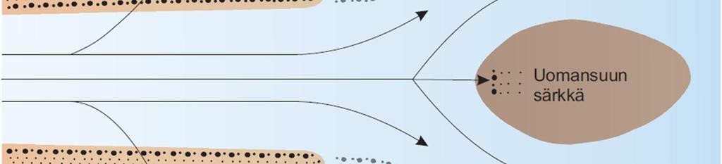 Hienommat sedimentit kulkeutuvat kauemmaksi uoman suulta kerrostuen syvemmille alueille (Hevosluoto muodostuma).