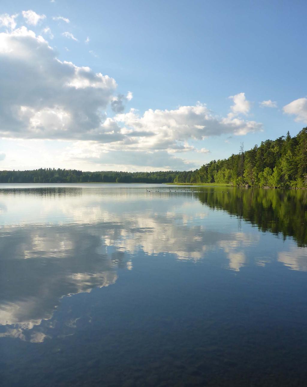 RAPORTTEJA 75 2017 Vaikuta vesiin Vesienhoidon keskeiset