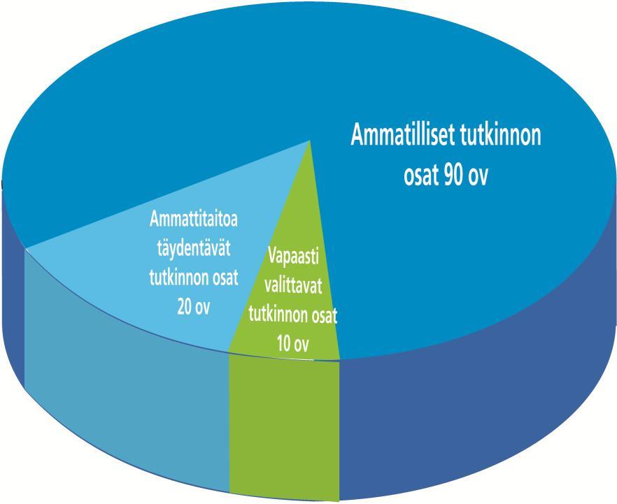 Ammatillisen perustutkinnon rakenne Ammatilliset tutkinnon osat 90 ov Vähintään puoli vuotta opinnoista suoritetaan työelämässä. Ammattitaidon saavuttaminen osoitetaan ammattiosaamisen näytöillä.