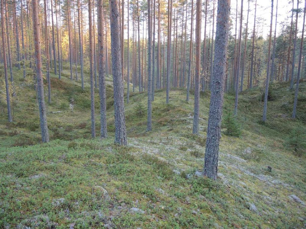 Mihin sijoittuvat ongelmallisimmat vedet? Kokonaisarvio pintavesien ekologisesta tilasta on laadittu vuonna 2013 (kuva 6).