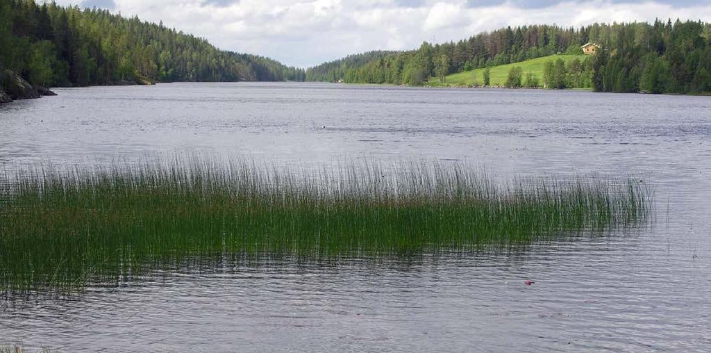 Vesienhoitoalueen osa-aluekohtainen tarkastelu POHJOIS-SAVON ALUEET Iisalmen reitti asukkaat: n. 46 100 (v.
