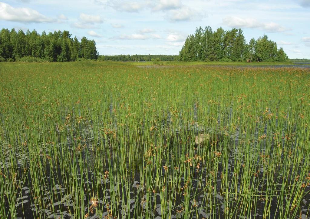 Kyrsyänjärven-Tuusjärven, Sysmäjärven ja Syysjärven alue asukkaat: n. 12 800 (v.