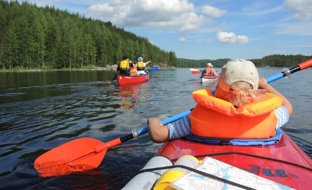 Metsätalouden toimenpiteiden suunnitteluun vaikuttavat kansallinen metsästrategia 20