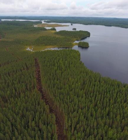 Koitajoen hankealueella ovat valmistuneet 7 suoluonnon ennallistamissuunnitelmaa ja työt on jo aloitettu Viitasuolla, Kesonsuolla ja Puhtiinsuolla sekä osittain