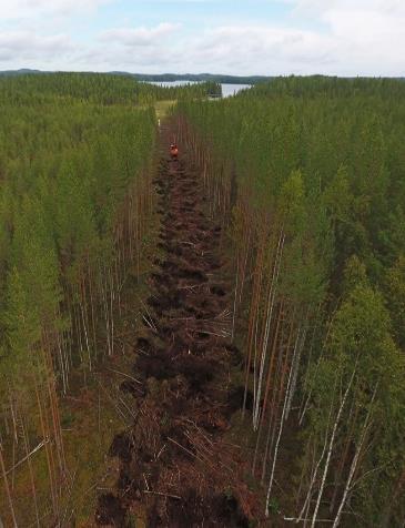 Vesiensuojelurakenteiden suunnitelmat ovat valmiina noin 15 rakenteelle (vaikutusalue noin 800ha) ja Ala- Koitajoella on ennallistettu noin puolet suunnitellusta 3560