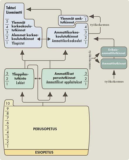 Ammatillisen perustutkinnon rakenne Perustutkinnot muodostuvat ammatillisista tutkinnon osista, yhteisistä tutkinnon osista ja vapaasti valittavista tutkinnon osista.