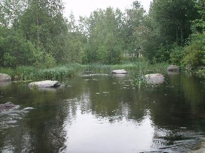 Kultakin koskelta valittiin koekalastukseen noin 100 m 2 :n suuruinen koeala, joka kalastettiin kolmen poistopyynnin menetelmällä. Vuoden 2008 koekalastukset tehtiin elokuussa.