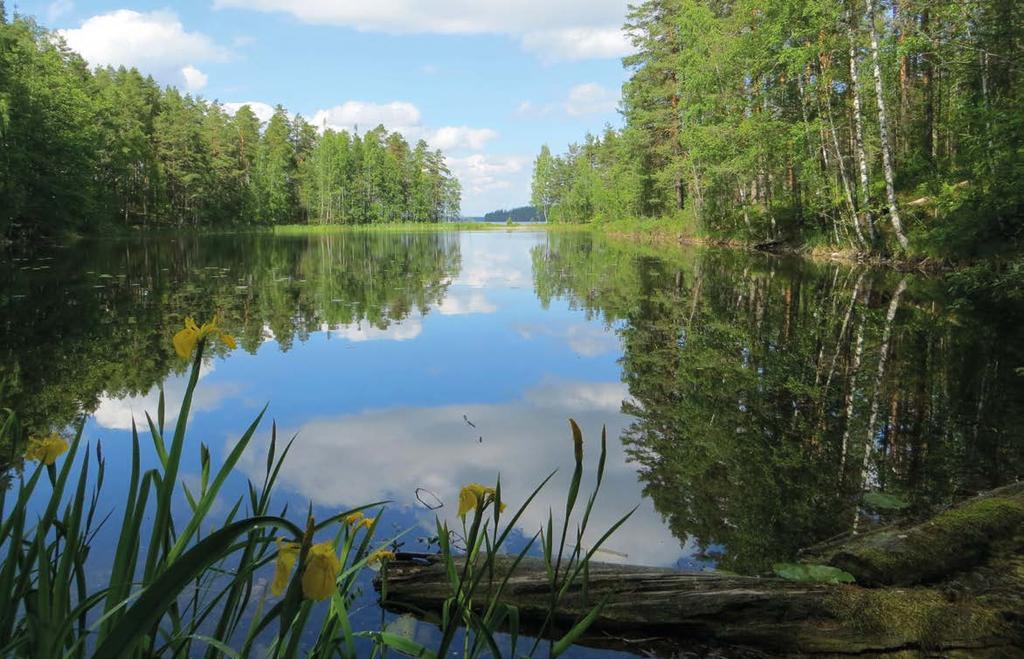 Nykyisessä maisemassa laaksopaikat osoittavat hiekkaan hautautuneiden jäälohkojen sijainnin. Selänteet ovat niiden väliin jääneitä hiekalla täyttyneitä tiloja.