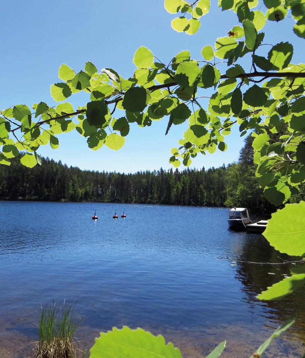 PULLIKAINEN Railoutunut