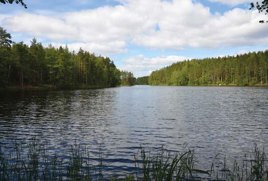 deltamainen osa koostuu neljästä pienialaisesta tasanteesta.