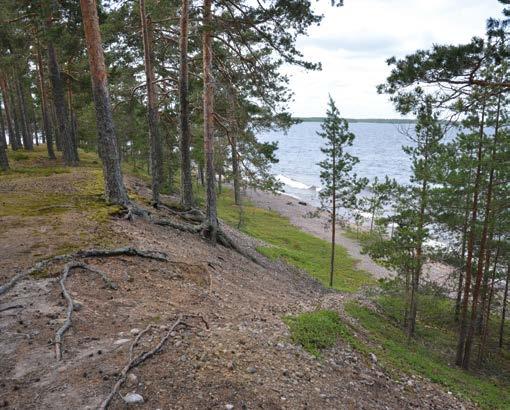 maankohoamisesta johtuen laskusuunnassa. Alin taso saavutettiin noin 11 000 vuotta sitten, kun Rastinvirran kynnys (nykyään 65 m mpy) kohosi Yoldiameren pinnan yläpuolelle.