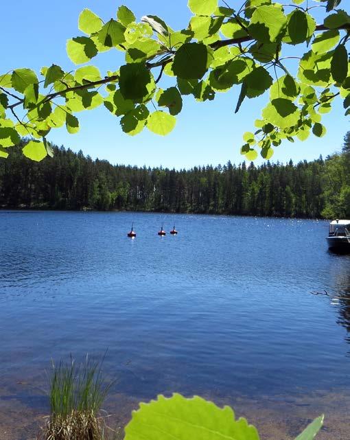 vapautumiseen mannerjäätikön alta noin 12 100 vuotta sitten ja muinaisen ihmisasutuksen saapumiseen