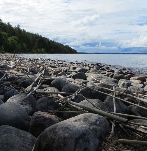 Tuolloin syntyneet muinaisrannat sijaitsevat 6-7 m nykyisen Saimaan pinnan yläpuolella korkeustasolla 82 83 m