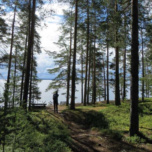 alkoi Rastinniemellä taas laskea.