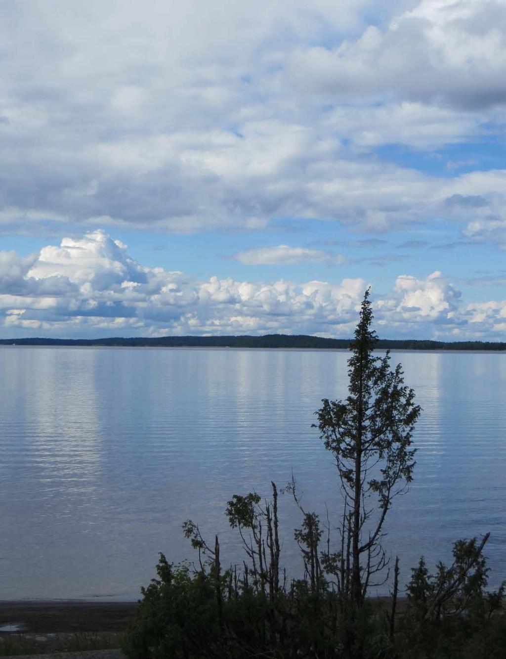 KULTAHIPPUJA LOKIKIRJASSA Satamosaari on järvikierroksen viimeinen rasti. Paluumatkalla Lammassaaren lähtösatamaan on aikaa muistella reissun antia.