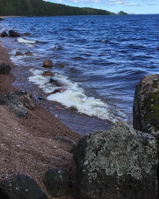 SISÄLLYS SARVINIEMI 33 Vaella mannerjäätikön jäljillä satojen vuosien askelin