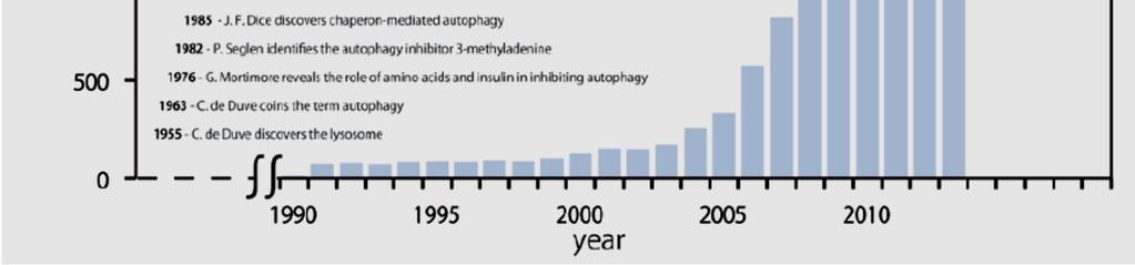 Ohsumi Y, Cell