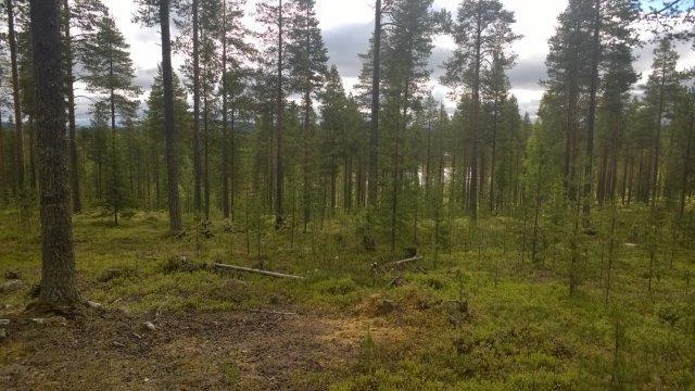 KEMIJÄRVEN KAUPUNKI Suomun matkailukeskuksen asemakaavan laajennus