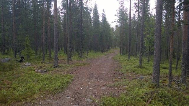 - Kaupunginvaltuuston on tarkoitus hyväksyä asemakaavaehdotus (alustava tavoite keväällä 2018).