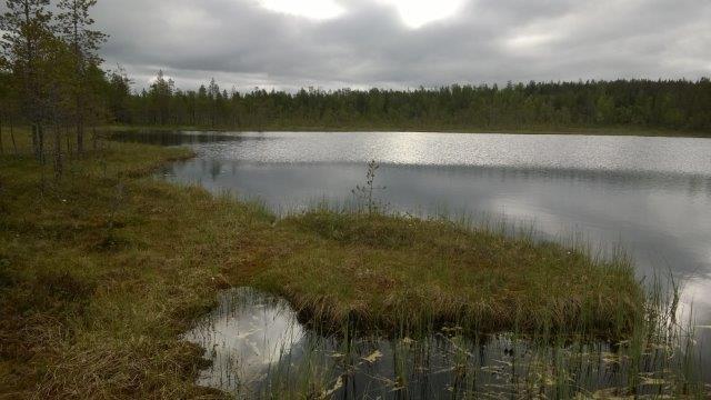 idässä ja Oulangan kansallispuisto etelässä.