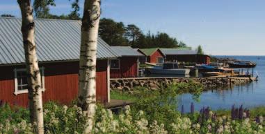 fi varissaari - fort elisabeth Kotkan edustalla sijaitseva saari on vartin päässä Kotkan Sapokasta. Saaressa on kesäravintola ja pieni uimaranta grillipaikkoineen.