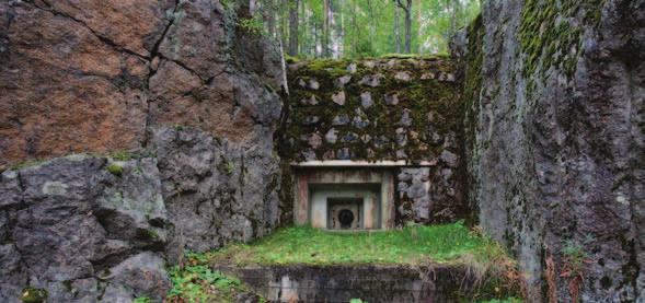 vaihtelevassa metsämaastossa sijaitsevilla opastetuilla reiteillä. Museon yleisöpalvelutiloissa asiakkaita palvelee kahvila ja museomyymälä.