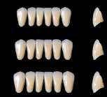 The shapes A and LA show the internal and external structure of abrasive teeth. Of course these shapes can be individualised.