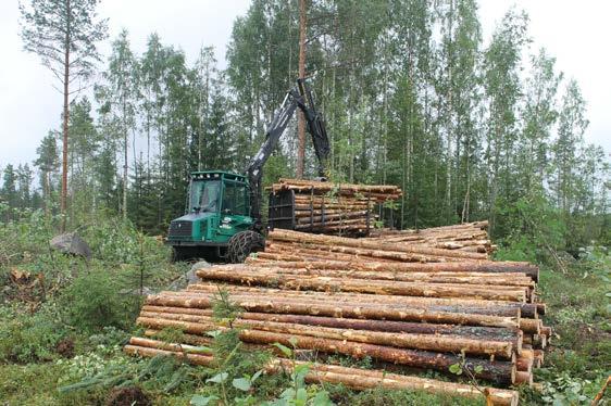 20 Mhy Pyhä-Kala 3. PUUKAUPPAPALVELUT TOT. -15 TAV. -16 TOT.