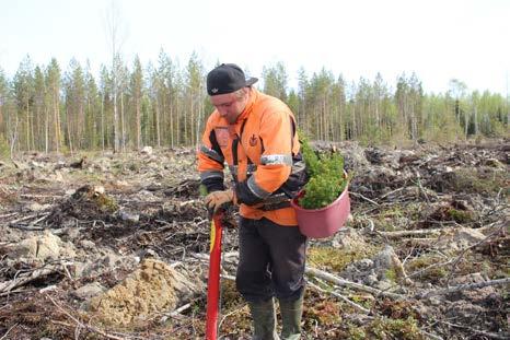 21 METSÄNHOITOPALVELUT 1. METSÄNUUDISTAMINEN TOT. -15 TAV. -16 TOT.