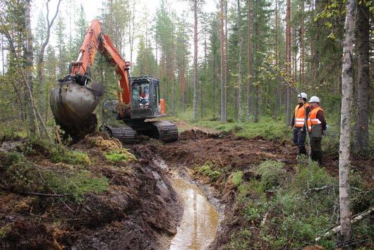 22 2. NUOREN METSÄN HOITO TOT. -15 TAV. -16 TOT.