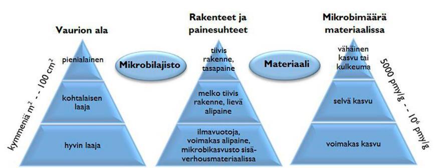 Kuva 21, Mikrobikasvuston sisäilmavaikutuksia määrittäviä tekijöitä.