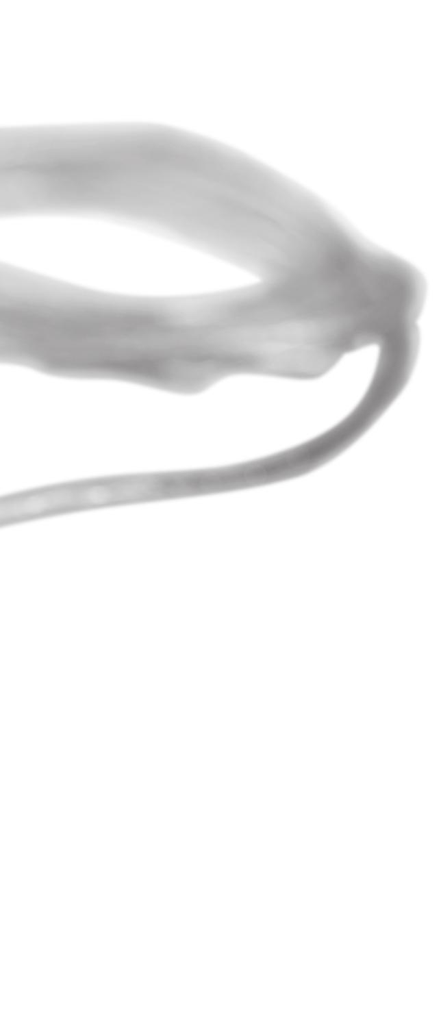 Nettverkskabel USB