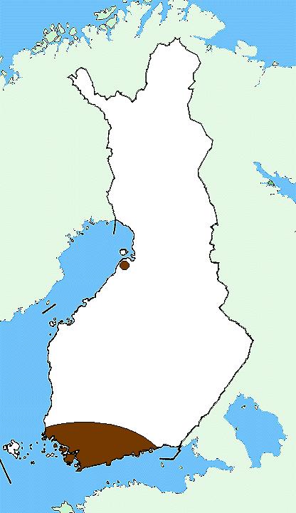 Tutkimusalueita 12 kpl. 3 kallioaluetta. Tutkimusalueet 2:lla pv- pinnan alapuolista ottoa. Kaikki oton prosessit mukana.