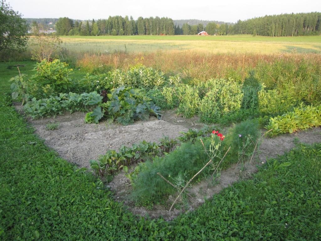 Mitä tarvitaan toimintatavan muutokseen?