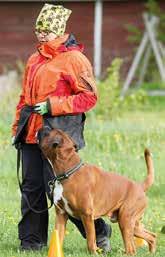 JUN,JUN SERT,EE JMVA Calvin Klein della Cappastorta EUROOPAN VOITTAjA 2015 Calvin Klein della Cappastorta EURO Tenten Kight Luonnetestituloksia 29.8.15 KOUVOLA 30.