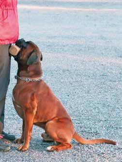 Playbox s Billy The Kid +114 Bestbox Gran Chavala +116p Playbox s Golden Giant +140 Stengårds Bubba-Ho-Tep +125 Playbox s Gossip Girl +138 Vaa as Musta Maija