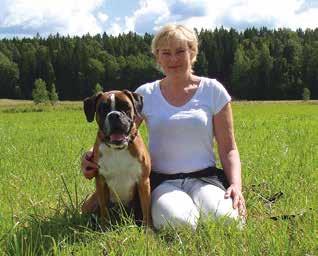 11.2015 Elimäki Tuomari: Mikael Laine FH2 91 p Omistaja/ohjaaja: Sirpa Annala CARUSO VOM MITTLEREN EBRACHgRUND Nurmijärvi 18.10.