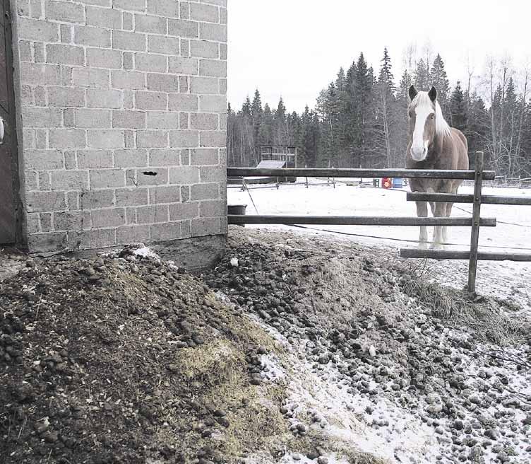 16 Elina Virkkunen Uudet hankkeet Moni ei tule ajatelleeksi, että hevosenlanta voisi olla ongelma.