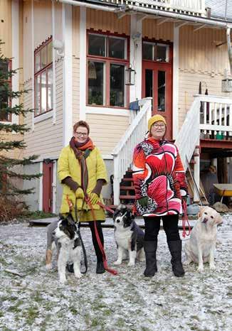 Me Lentävässä Lapasessa haluamme tarjota sinulle väriterapiaa, vertaistukea ja paikan hengähtää omien toteuttavien tai toteuttamista vielä odottavien unelmien kanssa.