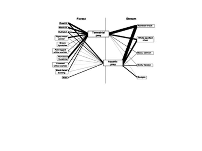 Vesi-ranta vuorovaikutukset ovat molemminpuolisia Nakano et al.