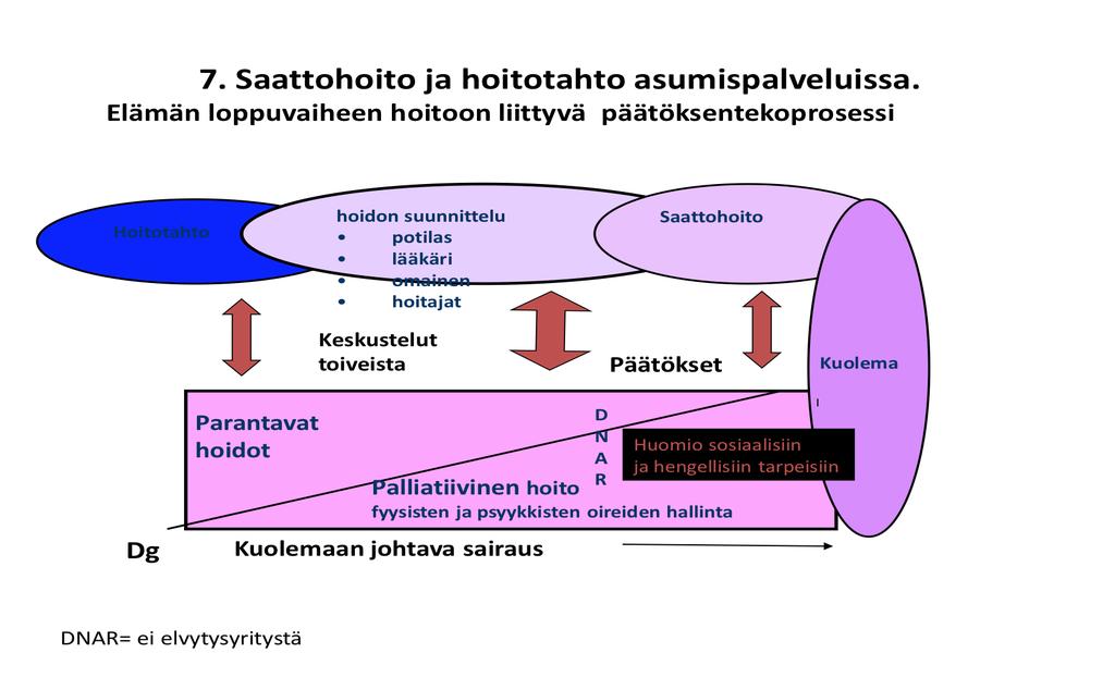 Hoitojen suunnittelu Hoitoneuvottelu Omaisten tukeminen hoitotahdon ja päätösten kirjaaminen Oireiden havainnointi ja hoito Kuolintodistus ja omaisten huomioiminen CPS