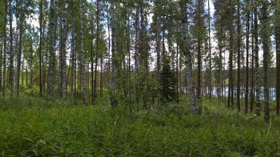 6 Koko suunnittelualueelle on tunnusomaista maaston pienipiirteinen vaihtelevuus.