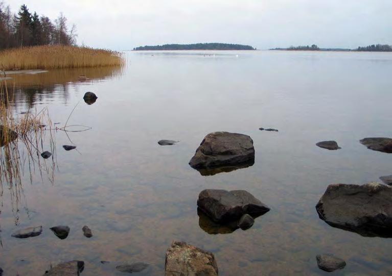 nut). Näiden kartoitusaineistojen lisäksi lähimpinä suunnittelualuetta sijaitsevien saarien pesimälinnustosta on käytettävissä linnustotietoja Birdlife Suomi ry:n koordinoimien IBAlaskentojen