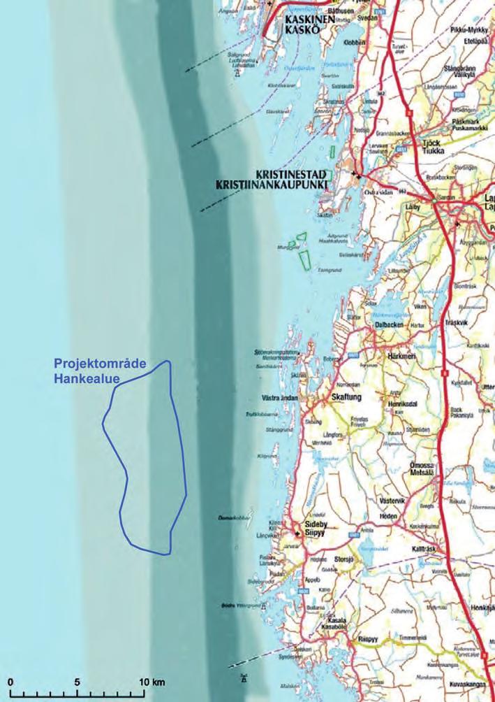 Keväällä 2009 havainnoinnissa havaituista metsähanhista kaikkiaan noin 4 % arvioitiin kulkevan hankealueen kautta.