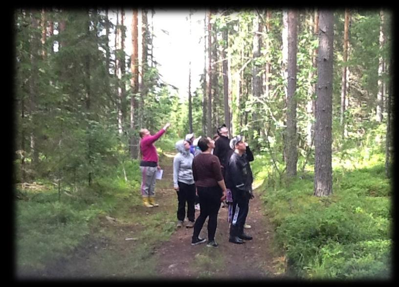 41 KUVA 9. Aurinko armas kuivas satehen. (Kuva Minna Koikkalainen 2015) Rannasta nousimme pääpolulle takaisin ja jatkoimme matkaa. Matkan varrella kuuntelimme luonnon ääniä, kuten lintuja ja tuulta.