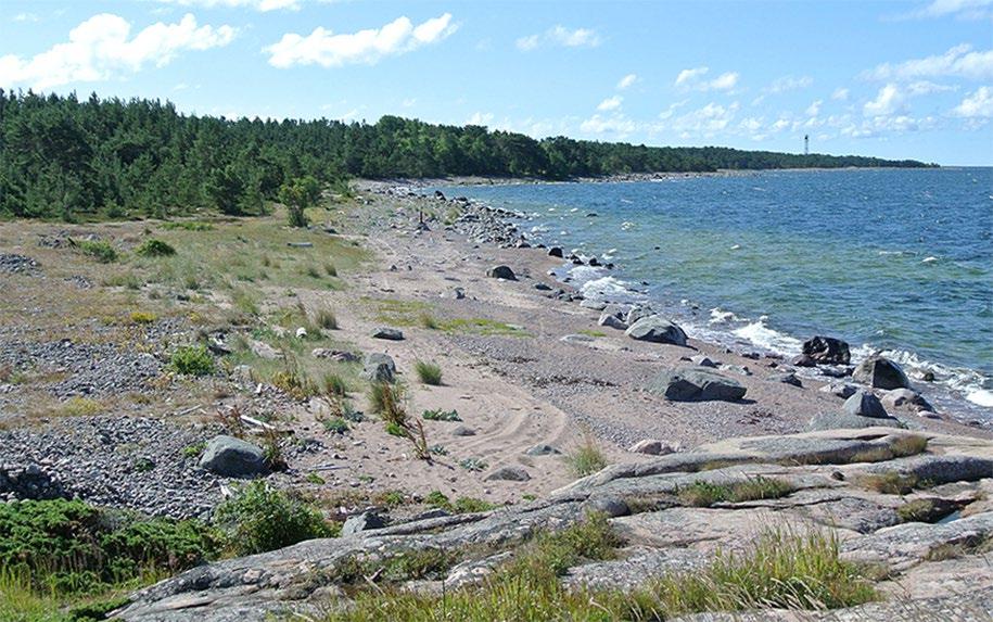 Örön 3,5 km pitkää länsirantaa luonnehtivat pitkät hietikot, somerikot ja dyynialueet ovat monien uhanalaisten ja harvinaisten lajien elinpaikkoja. Kuva: Metsähallitus / Esko Sorakunnas.