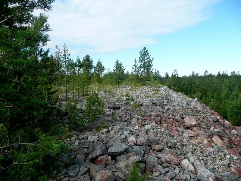 paikoitellen lohkareikkoa. Nuorta kasvatusmetsää.