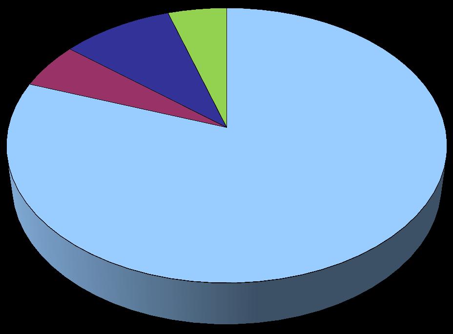 Liikevaihdon muodostuminen Liikevaihto vuonna 2011 7,13 miljoonaa euroa Rakennesuunnittelu 81 % 5 % 9 %