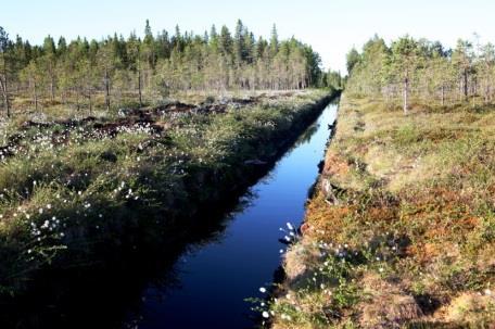 leviämiskyky (epäsuotuisien alueiden ylittäminen)