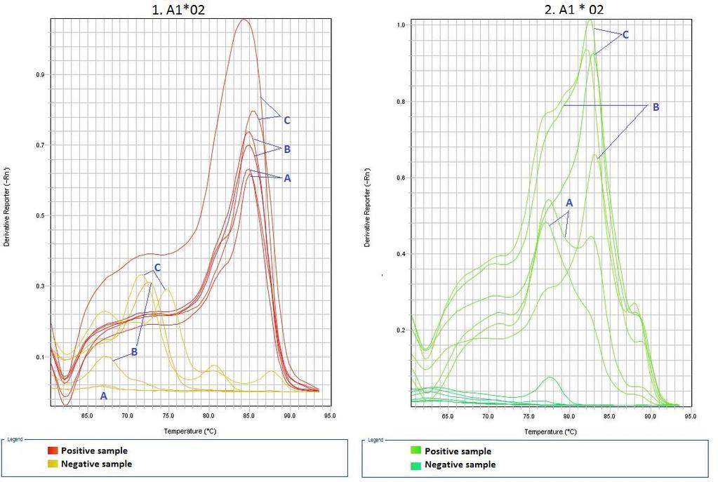 19 Kuva 8. A1*02-alleelille suunniteltujen alukeparien sulamiskäyrät eri konsentraatioilla. Kuvaajasta voitiin todeta, että parilla 1.